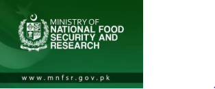 Member Jobs 2026 at MNFSR